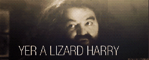 harry potter wizard lizards hagrid
