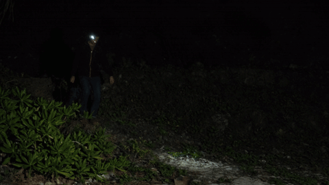 A Guide to Choosing a Modern Headlamp: Beam Patterns & Features