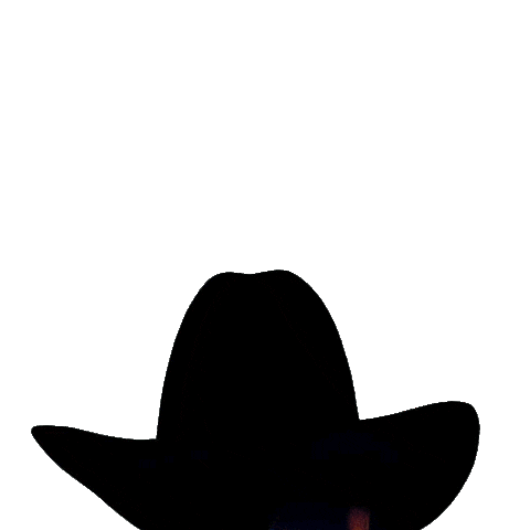 Young Fathers Cowboy Sticker by Electric Fields Festival for iOS