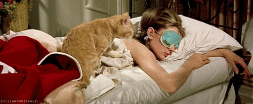 Image result for audrey hepburn breakfast at tiffany's bed gif