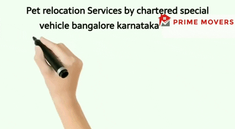 Packers and movers Bangalore Karnataka Pet Relocation Services 