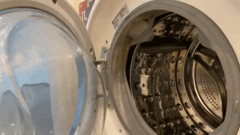 Gif of a mesh laundry bag being placed inside a washing machine drum