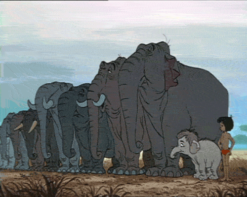 Elephantys!