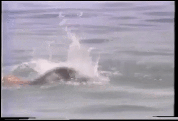 Formula 1 Swimming GIF by Ayrton Senna
