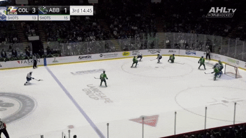 giphy.gif