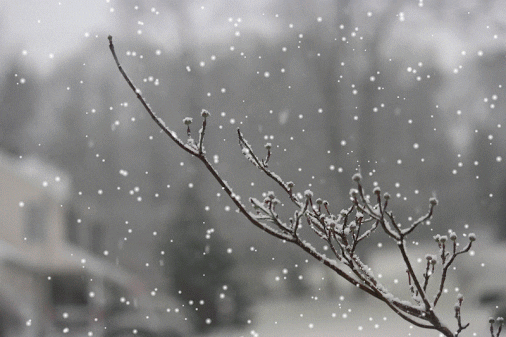 Snow GIFs - Find & Share on GIPHY