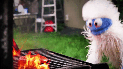 giphy.gif