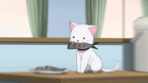 Gallery Anime Cat Animated Gif