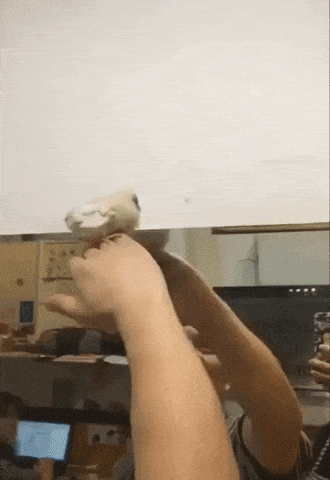 Chick help in keeping house clean in funny gifs