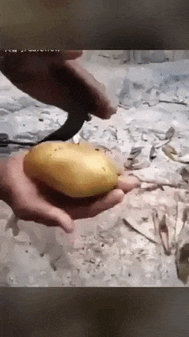 A forgotten art of cutting french fries in WaitForIt gifs