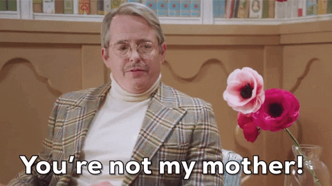Matthew Broderick Ah202 GIF by truTV’s At Home with Amy Sedaris - Find & Share on GIPHY