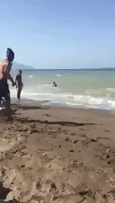 Cool trick straigh to ocean in funny gifs