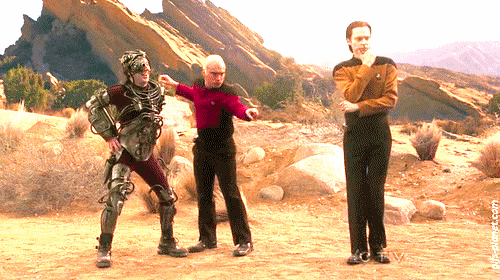 giphy.gif