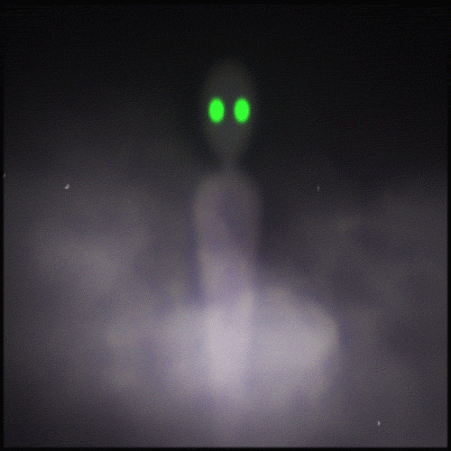 Halloween Eyes GIF by Erica Anderson Find & Share on GIPHY