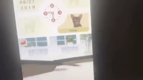 Mr pickle essay image