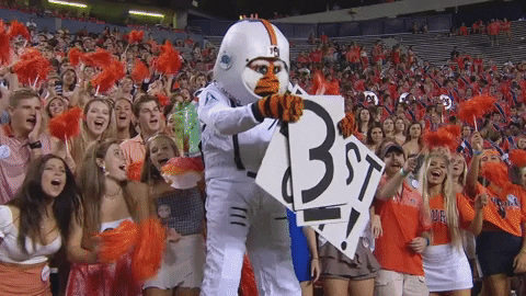 An astronaut bird counting down to blastoff at what seems like it might be an Auburn game and falling from a bush (War Eagle!)