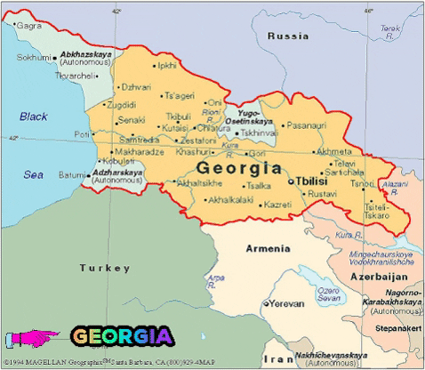 Georgia Area Codes