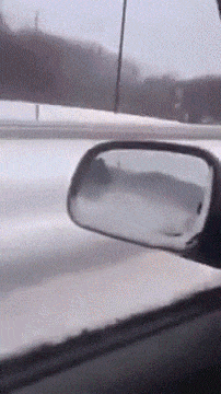 Crazy dude in wtf gifs