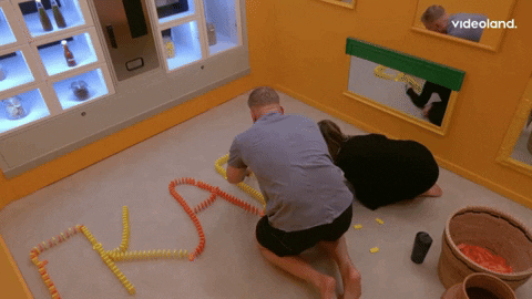 giphy.gif
