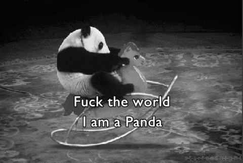 panda idgaf rocking horse fuck the world