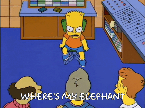 Where Is My Elephant GIF - Find & Share on GIPHY