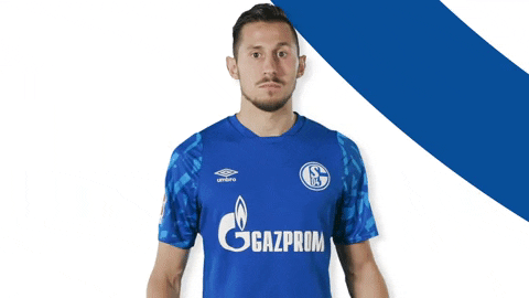 German Soccer What GIF by FC Schalke 04 - Find & Share on GIPHY