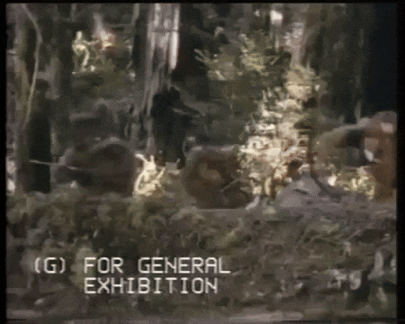 Battle For Endor Ambush GIF by mdleone