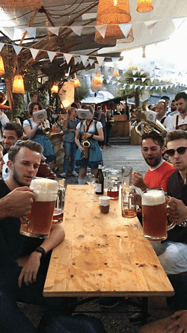 Oktoberfest beer celebration GIF