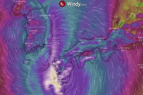 Haishen Made Landfall In Korean Peninsula Windy Community