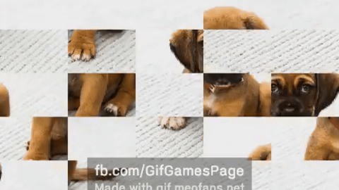 Puppy puzzle gif game gif