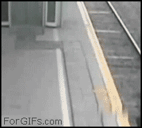 https://media.giphy.com/media/e3HffHHeLzpCg/giphy.gif