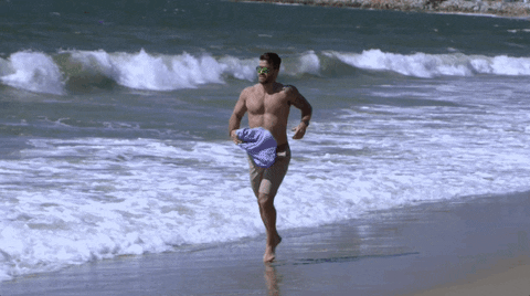 giphy.gif