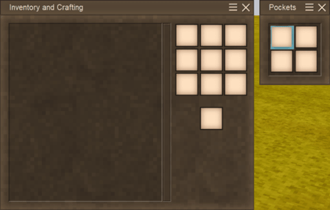 The Pockets panel open beside the inventory screen