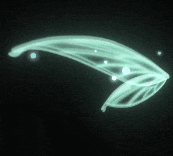 Wings GIF Find & Share on GIPHY