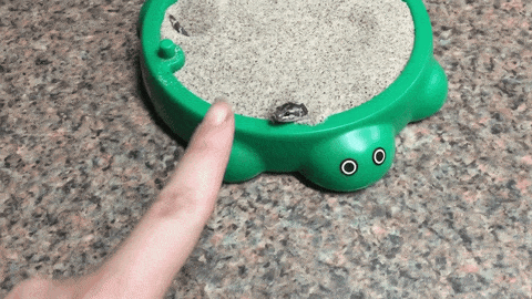 giphy-downsized-large.gif