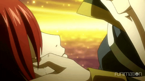 Fairy Tail Kiss GIF by Funimation