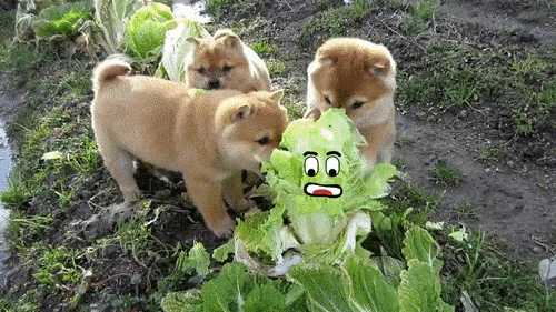 если бы неодушевлённые предметы были живыми, как-то очеловечил неодушевлённые предметы