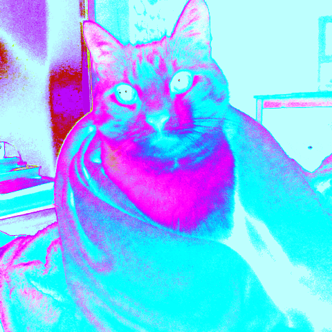 art cat animated psychedelic cat trippy cat