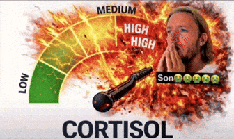 GIF high cortisol para Instagram