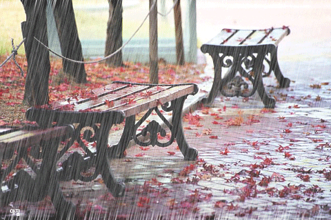 rain autumn rainy fall november