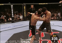 https://media.giphy.com/media/eGfhK7NDL7hle/giphy.gif