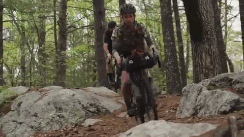 [Linket bilde fra media.giphy.com]