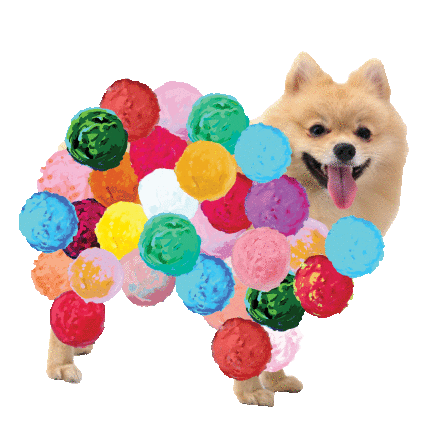 pompom gif pompom gif
