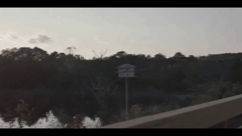 Stranger Things Smoking GIF by Death Wish Coffee