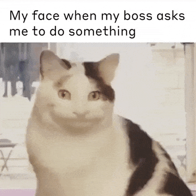 My face when my boss ask me to do something in funny gifs