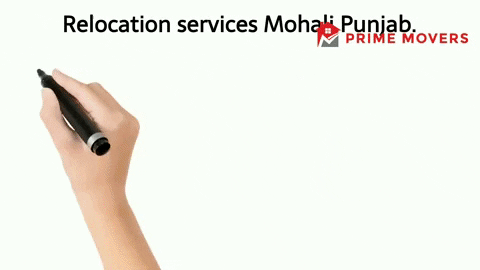 Relocation Services Mohali
