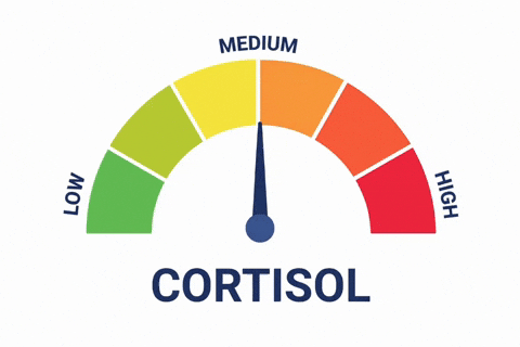 Low Cortisol Variants