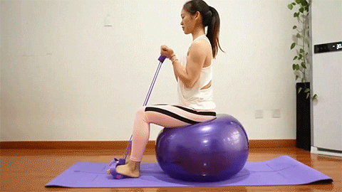 Elástico Extensor ProFitness – Mundo Click