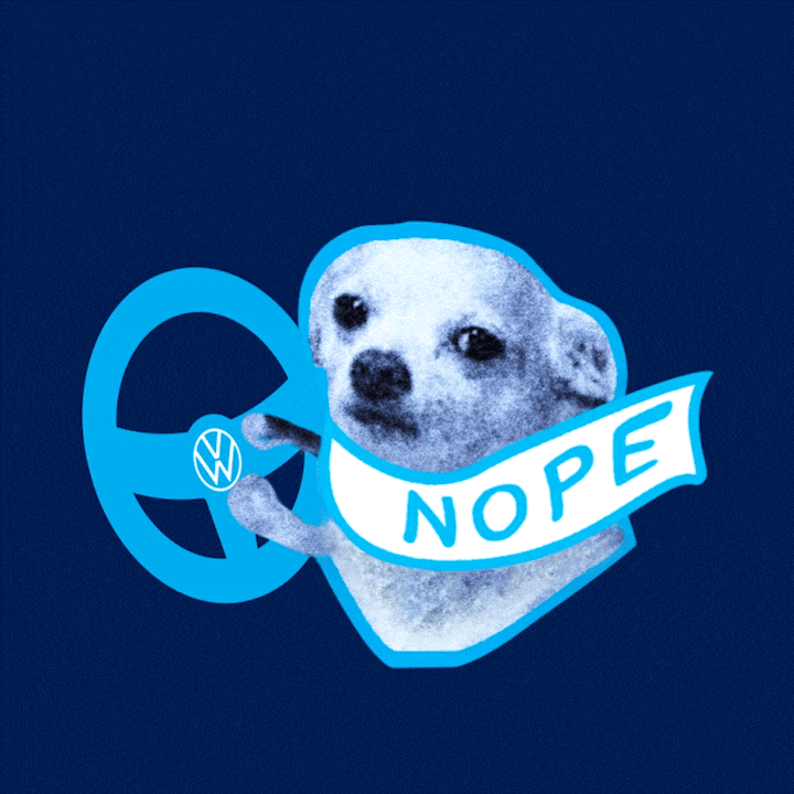 Dog Car GIF by Volkswagen Česká republika Find & Share on GIPHY