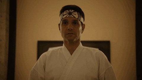 Cobra Kai GIF by NETFLIX  Find & Share on GIPHY